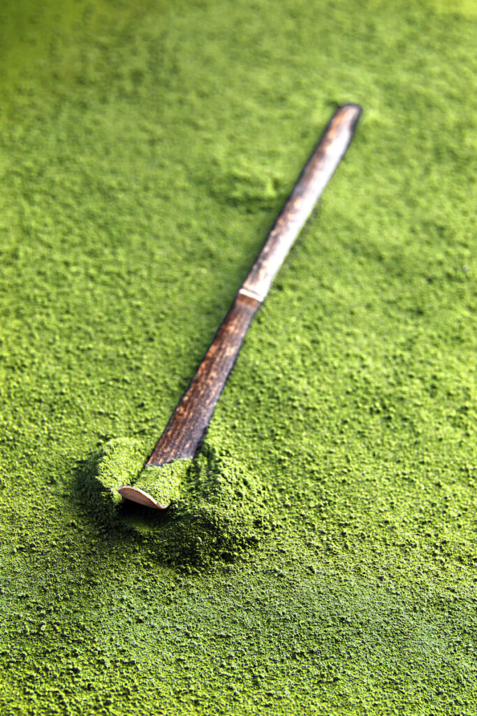Green matcha powder with spoon close up