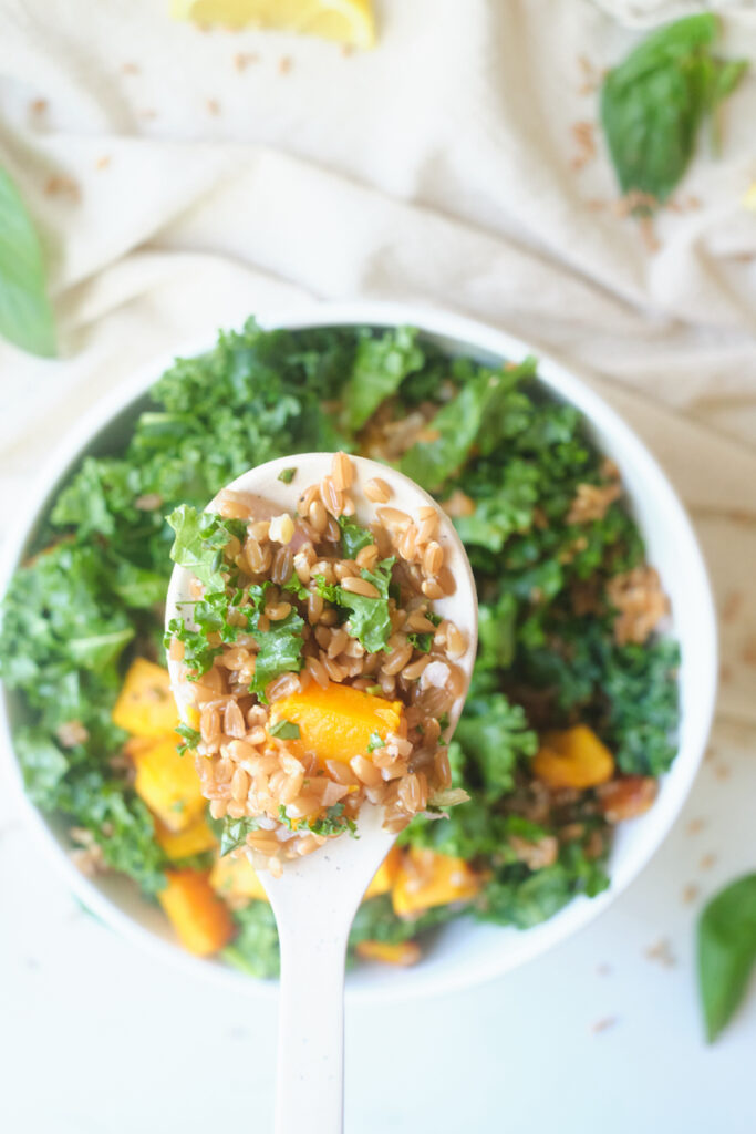 A spoon full of farro butternut squash salad with kale and herbs is held over a bowl of the salad