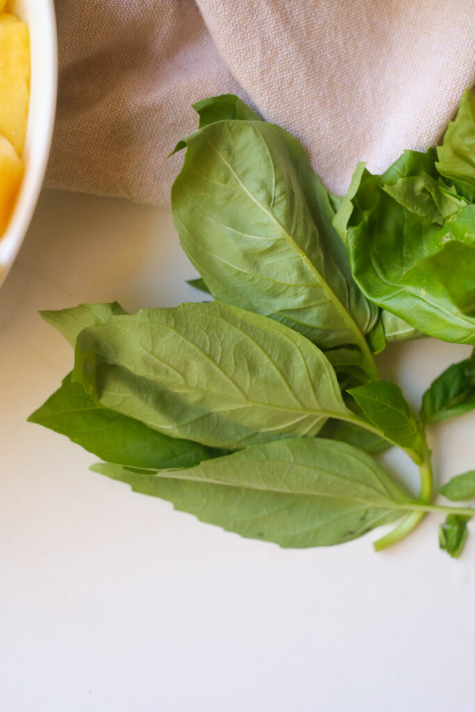 Close up of a bunch of fresh basil