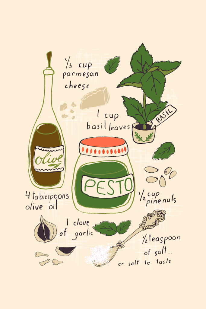 basil pesto recipe with hand illustrated ingredients