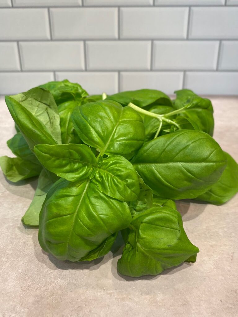 What Does Basil Taste Like The Taste of 15 Different Basils