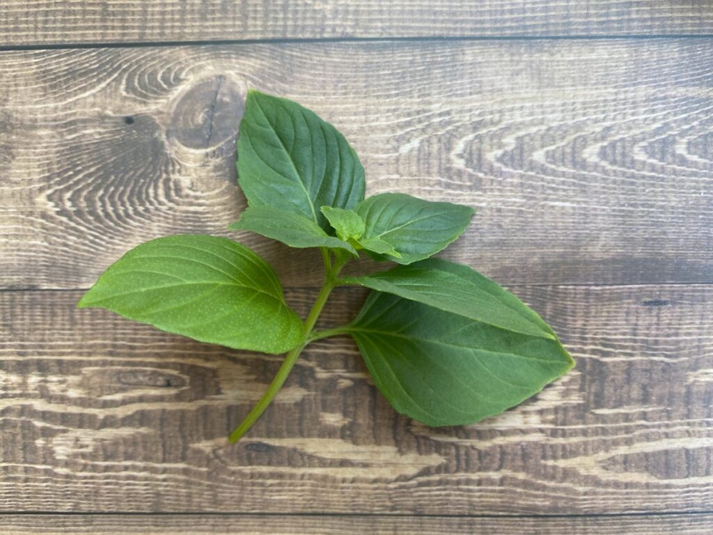 Mrs Burns lemon basil leaves on a wooden table