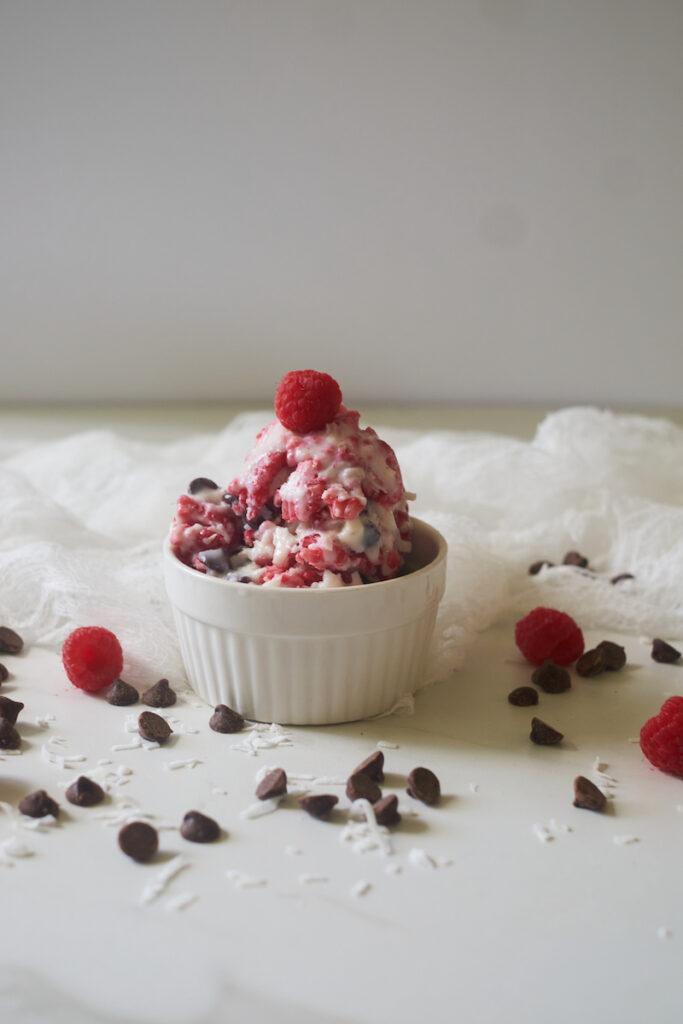 Beautiful dish of rasbperry dark chocolate vegan ice cream made with coconut milk and vegan chocolate chips