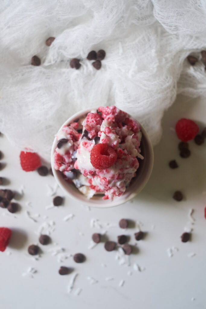 Beautiful dish of rasbperry dark chocolate vegan ice cream made with coconut milk and vegan chocolate chips