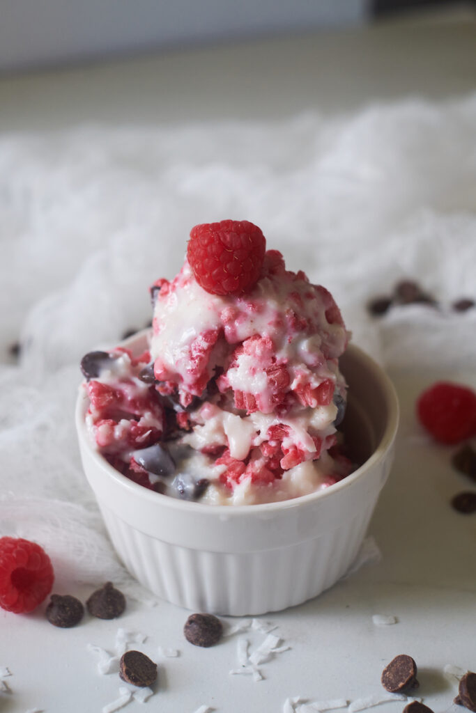 Beautiful dish of rasbperry dark chocolate vegan ice cream made with coconut milk and vegan chocolate chips