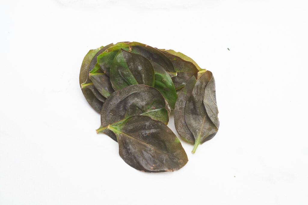 Frozen basil leaves on a white counter. These basil leaves were blanched before freezing, and have turned black from the process.