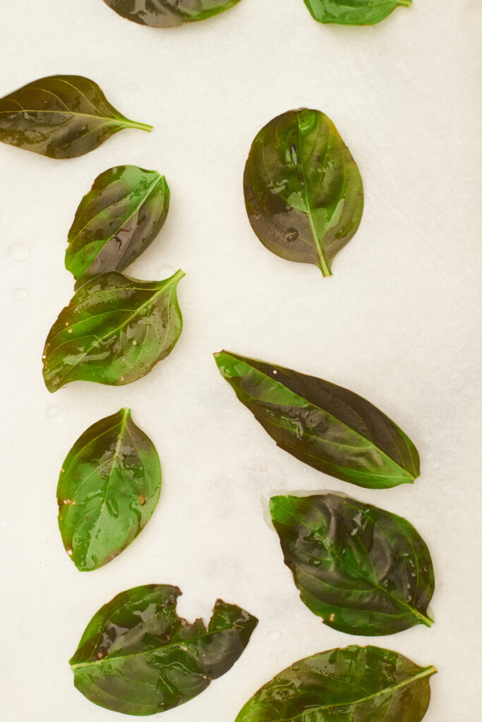 Blanched basil leaves on parchment paper than have blackened from the heat
