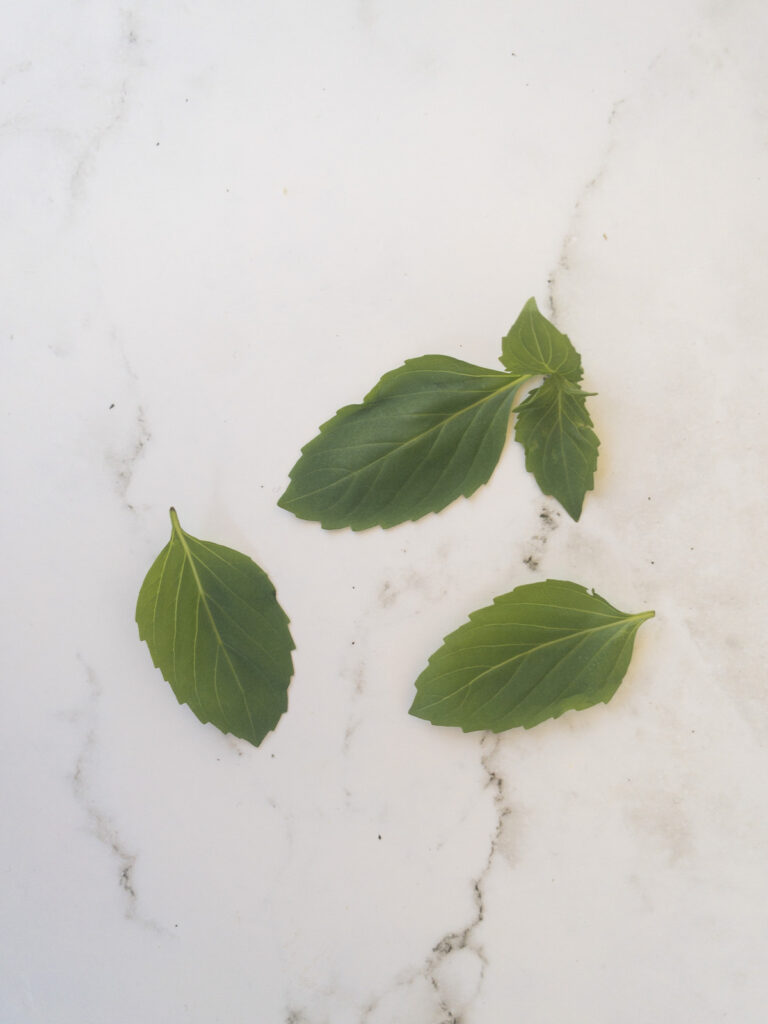 Cinnamon basil leaves on a white marble surface