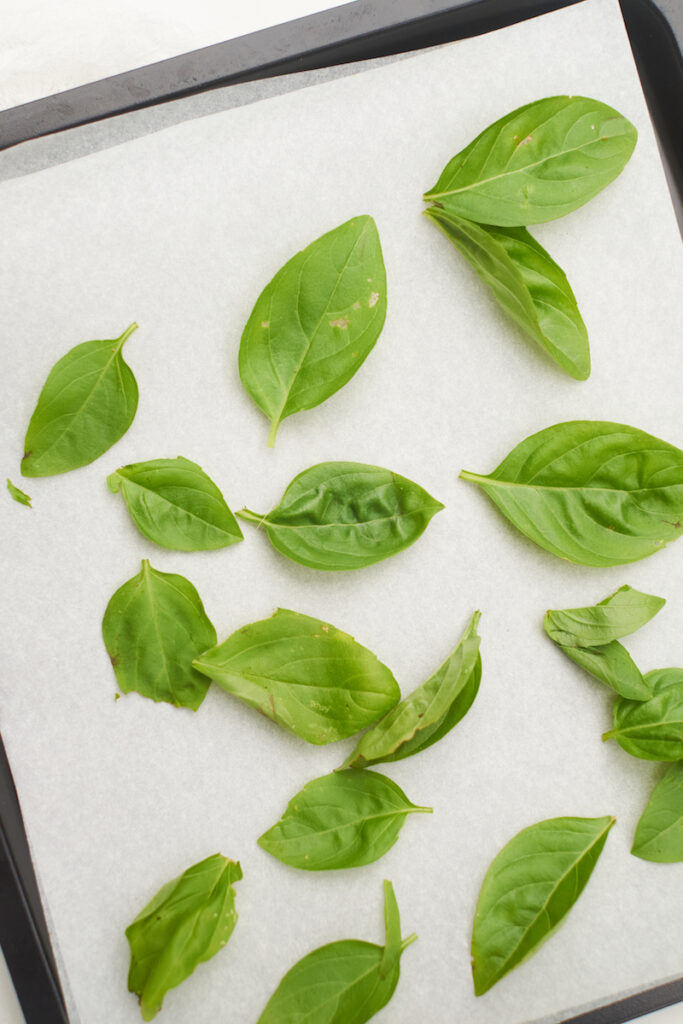 Fresh basil leaves arranged on parchment paper on a cookie sheet. Process shot showing how to freeze basil without olive oil.