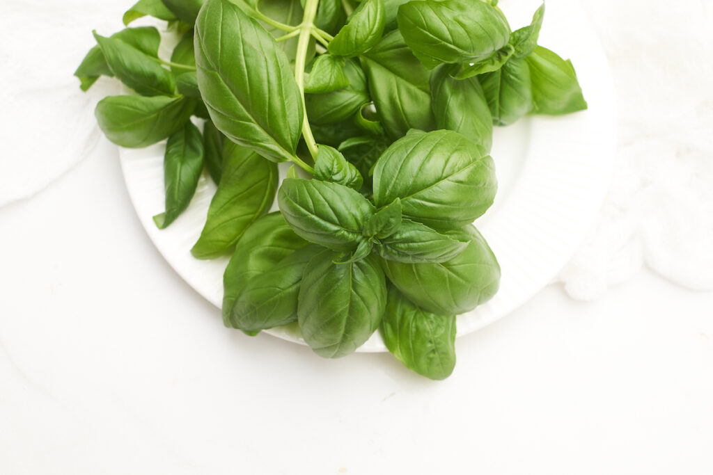 Healthy green fresh basil leaves on a white plate and counter