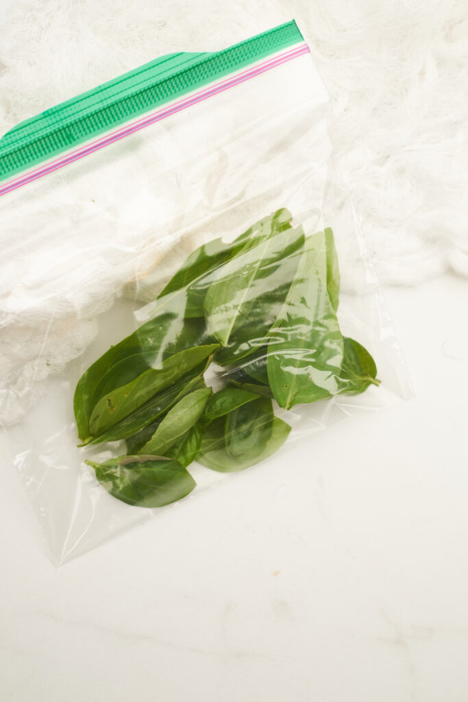fresh basil leaves in a plastic ziplock bag before placing in freezer