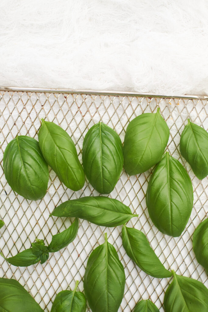 Fresh basil leaves arranged on an air fryer basket. Air frying basil leaves is an easy and fast way to dry whole basil leaves. How to dry basil in an air fryer.