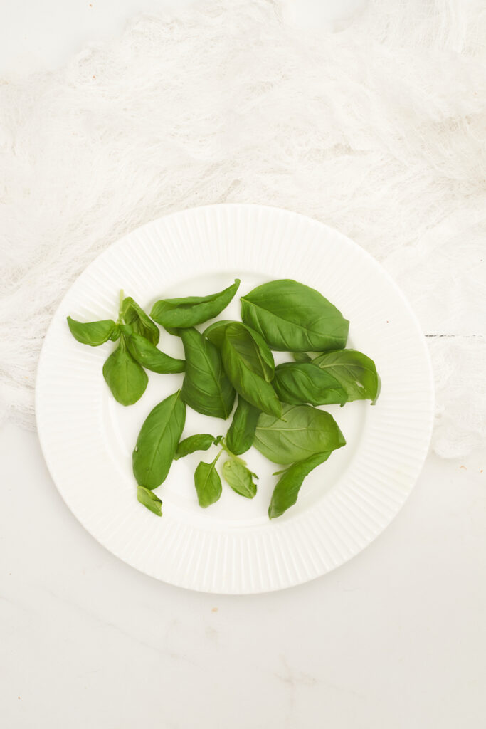 Fresh basil leaves on a white plate, prior to drying in a microwave. How to dry fresh basil in microwave.