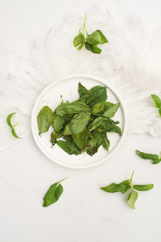 Whole fresh basil leaves that have been dried in a microwave sitting on a white plate. How to dry basil leaves without oven in the microwave.