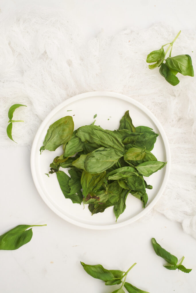 whole basil leaves that have been dried in the microwave on a white plate. How to dry basil leaves in microwave. 