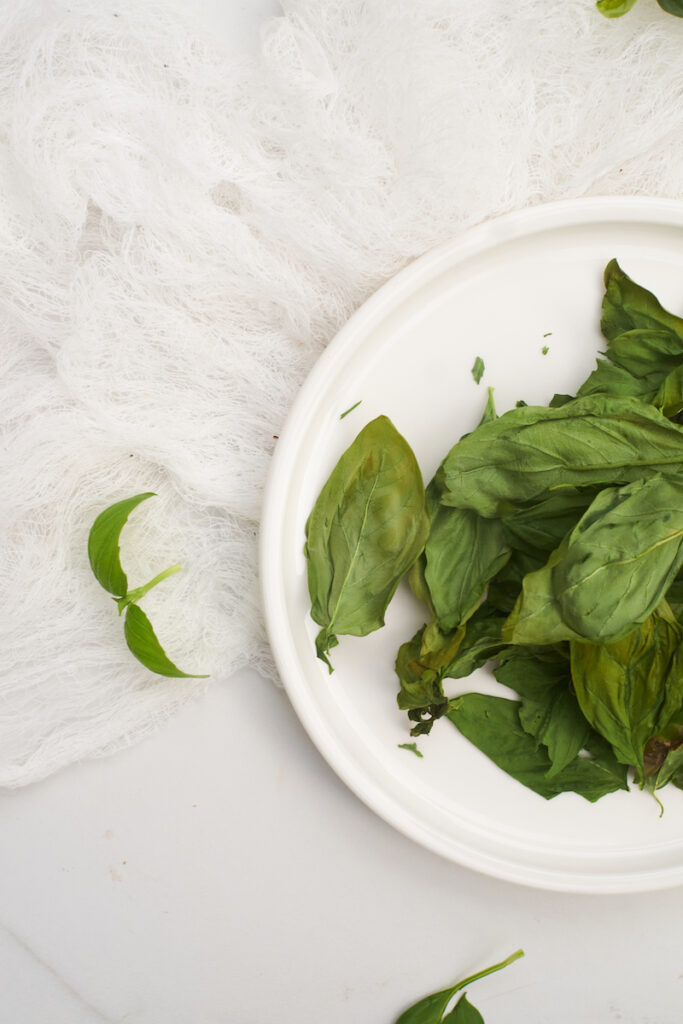 Close up of basil leaves that have been dried in a microwave on a white plate. How to dry basil in microwave oven.
