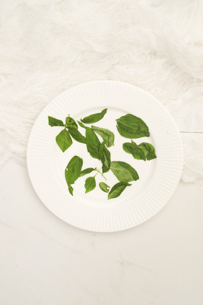 Basil leaves on a white plate that are being dried in a microwave. The leaves are somewhat dry, but need more time in the microwave to fully dry out. How to dry sweet basil in microwave.