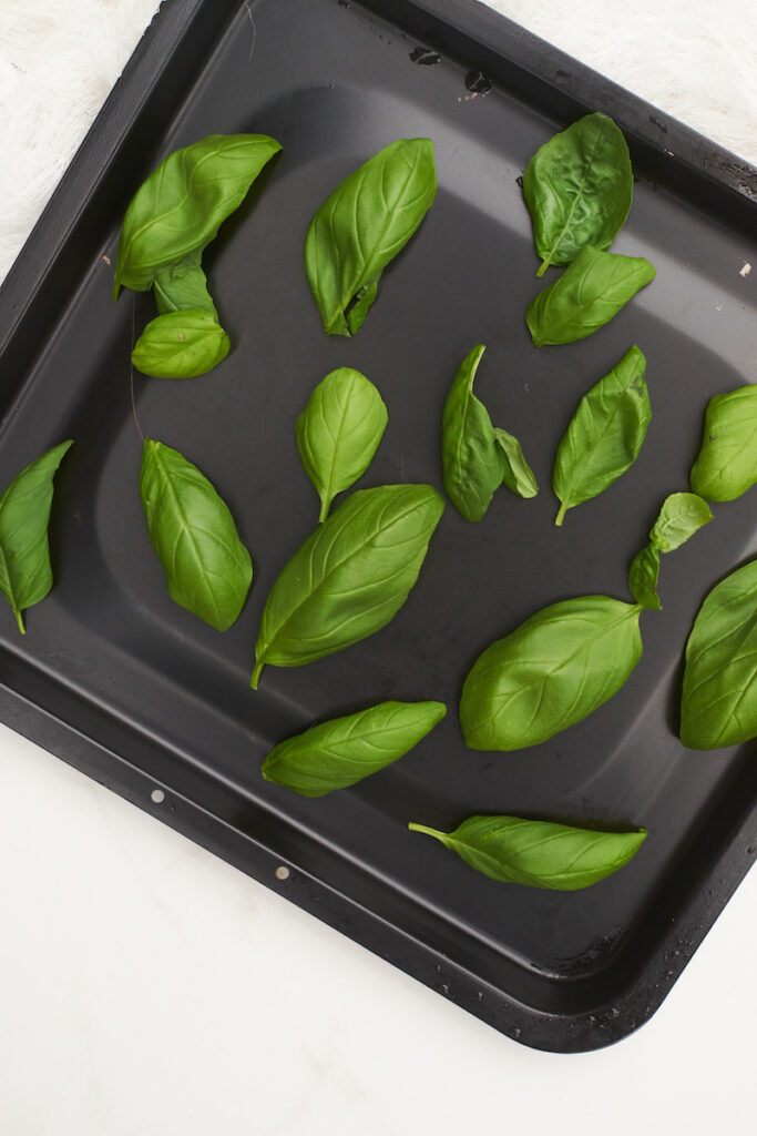 Fresh basil leaves arranged on a baking sheet before baking to dry the basil in oven. How to dry basil in oven.