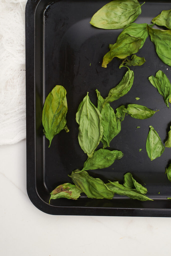 Dry whole basil leaves on a baking sheet after drying in oven. How to oven dry basil.