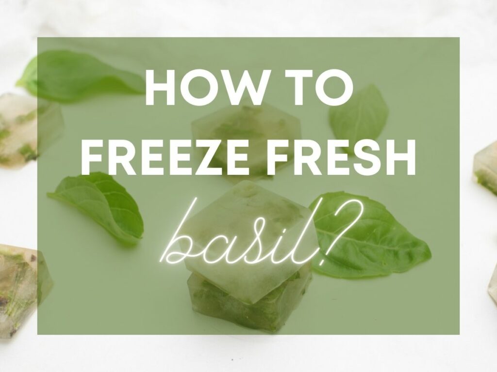 How to Freeze Basil 6 Popular Methods Tested