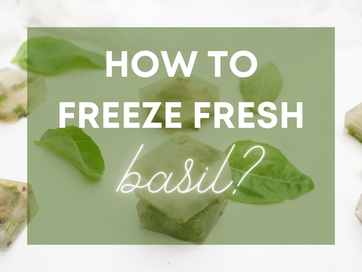 Text that says "how to freeze fresh basil" is overlaid over an image of frozen basil in broth cubes