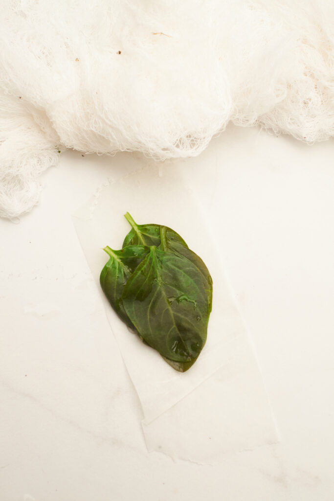 Blanched basil leaves stacked on top of one another before rolling and freezing