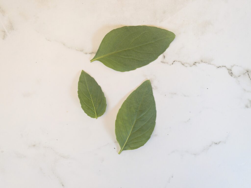 Thai basil leaves on a white marble surface