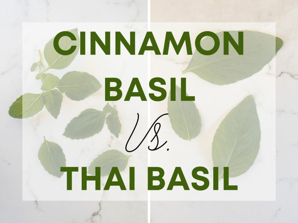 Collage with cinnamon basil leaves on the left and thai basil leaves on the right against a marble white background. Text superimposed over the image says "Cinnamon Basil vs. Thai Basil"